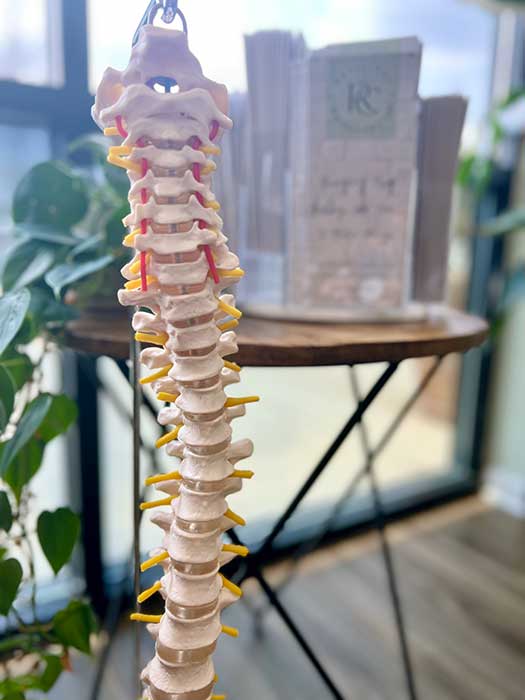 what is chiropractic what is chiropractic